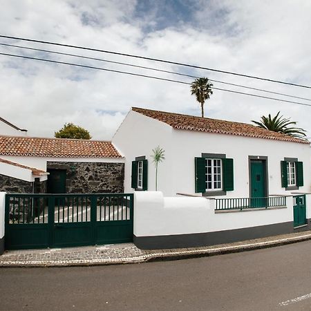 Casa Das Palmeiras Сан-Вісенте-Феррейра Екстер'єр фото