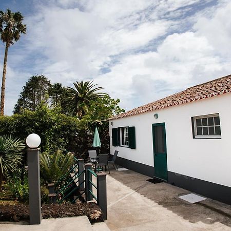 Casa Das Palmeiras Сан-Вісенте-Феррейра Екстер'єр фото